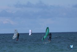 20250509-saintcyp-wing2-049.jpg