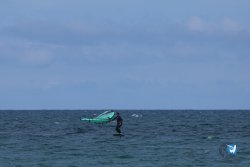 20250509-saintcyp-wing2-053.jpg