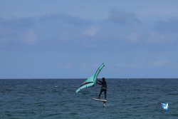 20250509-saintcyp-wing2-055.jpg