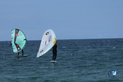 20250509-saintcyp-wing2-059.jpg