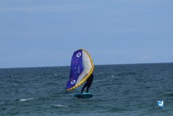 20250509-saintcyp-wing2-062.jpg