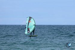 20250509-saintcyp-wing2-066.jpg