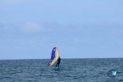 20250509-saintcyp-wing2-068.jpg