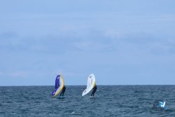 20250509-saintcyp-wing2-074.jpg