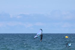 20250509-saintcyp-wing2-079.jpg