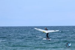 20250509-saintcyp-wing2-083.jpg