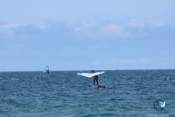 20250509-saintcyp-wing2-088.jpg