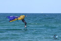 20250509-saintcyp-wing2-095.jpg