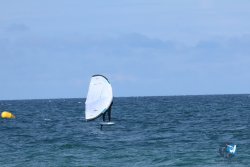 20250509-saintcyp-wing2-096.jpg