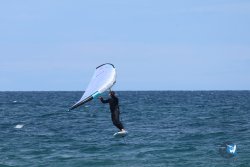 20250509-saintcyp-wing2-097.jpg