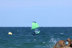 20250509-saintcyp-wing2-117.jpg