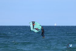 20250509-saintcyp-wing2-121.jpg