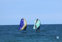 20250509-saintcyp-wing2-126.jpg