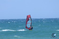 20250510-Cypriano-fort-099.jpg