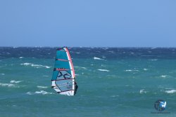 20250510-Cypriano-fort-288.jpg