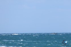 20250523-franqui-fort-115.jpg