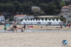 20220415-Franqui-light-093.JPG