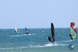 20250524-Franqui-002.jpg