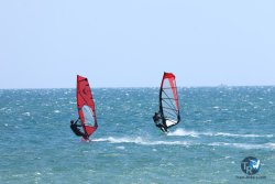 20250524-Franqui-003.jpg