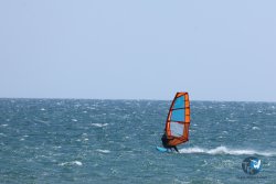 20250524-Franqui-011.jpg