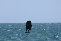 20250524-Franqui-015.jpg