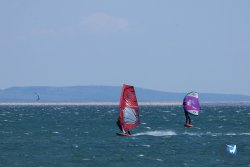 20250524-Franqui-019.jpg