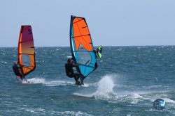 20250524-Franqui-021.jpg
