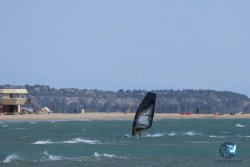 20250524-Franqui-026.jpg
