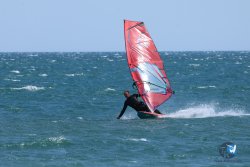 20250524-Franqui-030.jpg