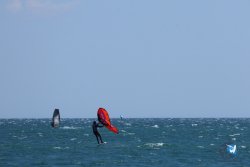 20250524-Franqui-035.jpg