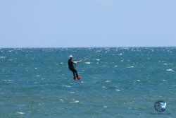 20250524-Franqui-037.jpg