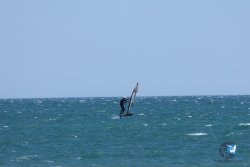 20250524-Franqui-039.jpg