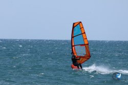 20250524-Franqui-045.jpg