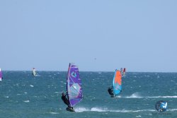 20250524-Franqui-055.jpg