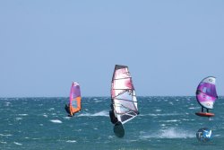 20250524-Franqui-090.jpg
