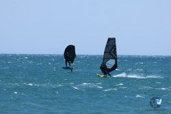 20250524-Franqui-130.jpg