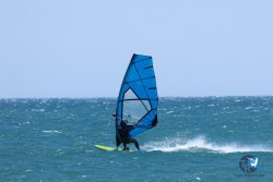 20250524-Franqui-162.jpg