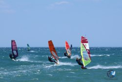 20250524-Franqui-168.jpg