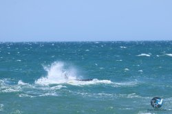 20250524-Franqui-181.jpg