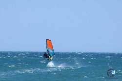 20250524-Franqui-192.jpg