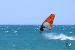 20250524-Franqui-199.jpg