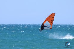 20250524-Franqui-200.jpg