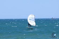 20250524-Franqui-303.jpg