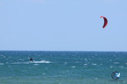 20250524-Franqui-317.jpg