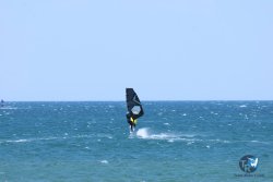 20250524-Franqui-321.jpg
