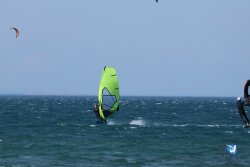 20250528-Franqui-Aw-008.jpg