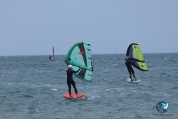 20250608-franqui-031.jpg