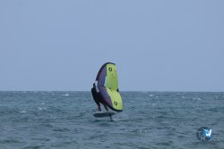 20250608-franqui-043.jpg