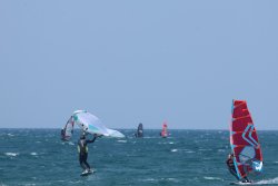 20250608-franqui-063.jpg