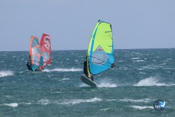 20250608-franqui-136.jpg